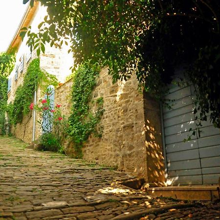 Villa Ruine-Motovun Dh Exterior foto