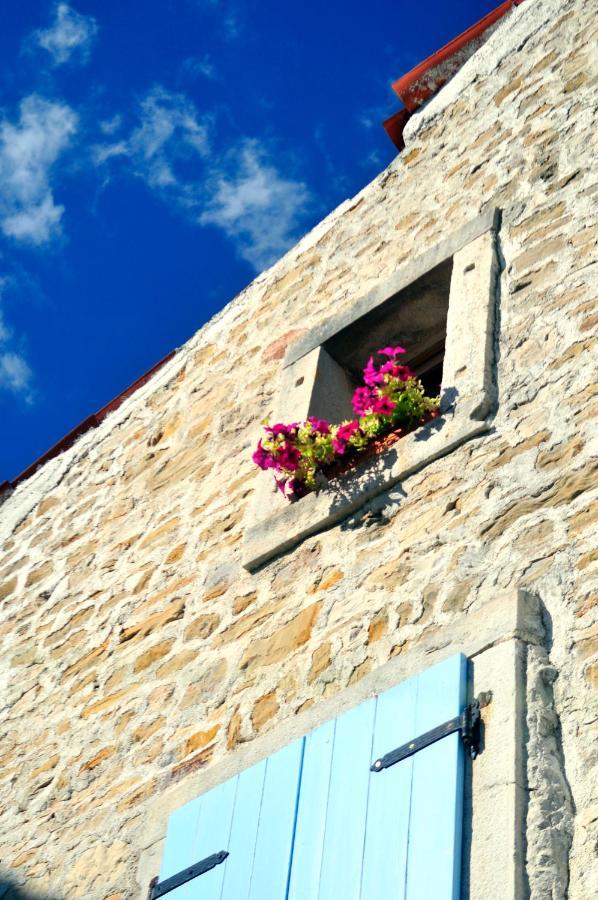 Villa Ruine-Motovun Dh Exterior foto