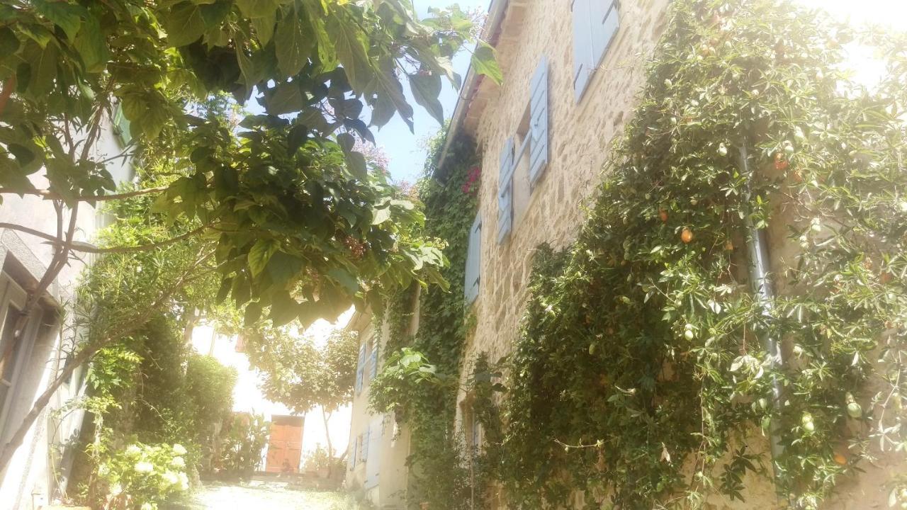 Villa Ruine-Motovun Dh Exterior foto